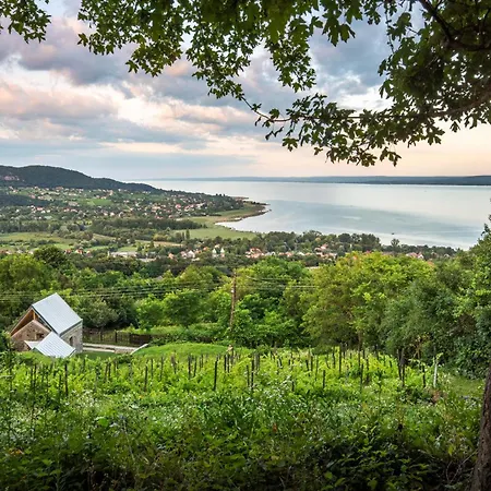 Kohaz A Hegyen Holiday home *