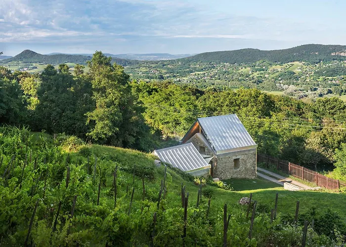 Kohaz A Hegyen Ferienhaus Badacsonytomaj